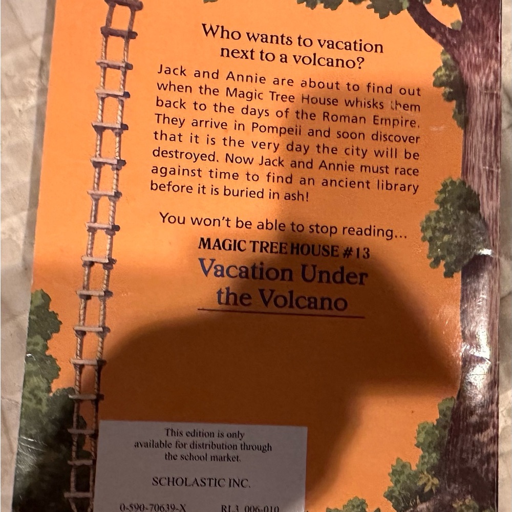 Vacation under the volcano- Magic tree house #13 - Picture 12 of 12